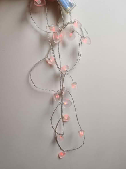 Photo of free Heart shaped string lights (Barbourne, WR1) #2