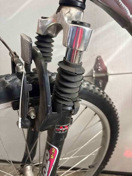 Photo of free adult schwinn bike (Fremont near Gomes Elementary) #2