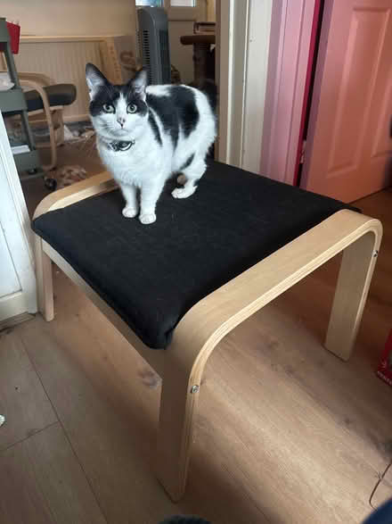 Photo of free IKEA POANG footstool (Manchester M9) #1