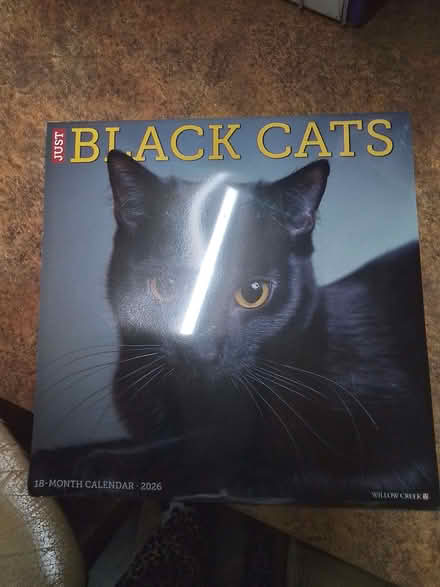 Photo of free 2026 black cat calendar (Fords Farm RG31) #1