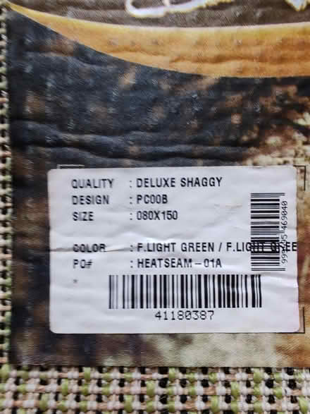 Photo of free Grass green shaggy rug (Barbourne, WR1) #4