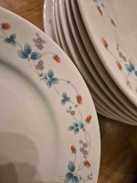 Photo of free Dinner plates & side plates (Annscroft) #2