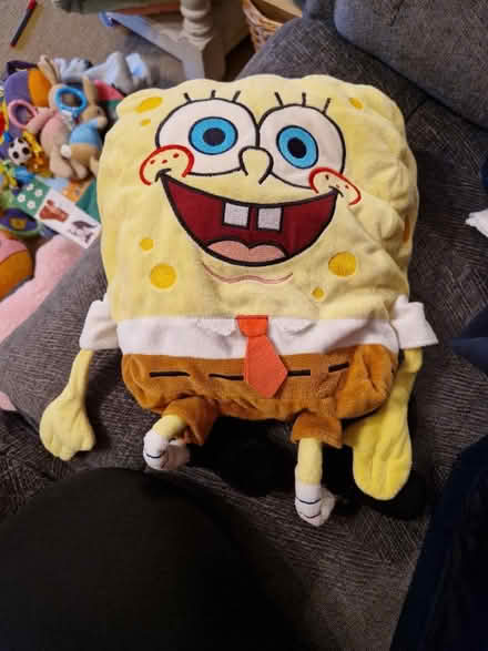 Photo of free Spongebob soft toys (Wildridings RG12) #1