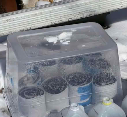 Photo of Clear plastic bin - can be cracked (White Bear Township, MN 55110) #1