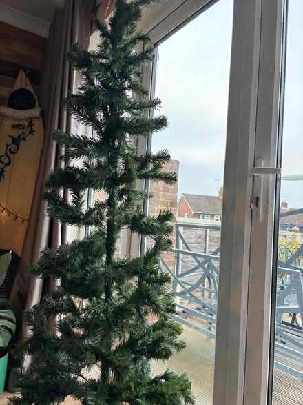 Photo of free Christmas tree. (Waterlooville PO8) #1