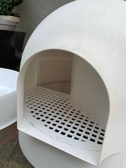 Photo of free Igloo cat litter box (M33 Sale) #2