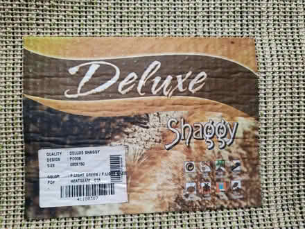 Photo of free Grass green shaggy rug (Barbourne, WR1) #3