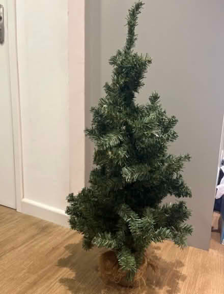 Photo of free Small Christmas tree (Fulbourn) #1