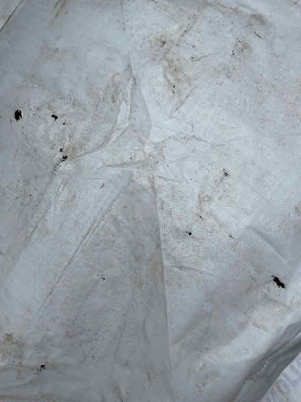 Photo of free Builders’ bag (North Walsham NR28) #3