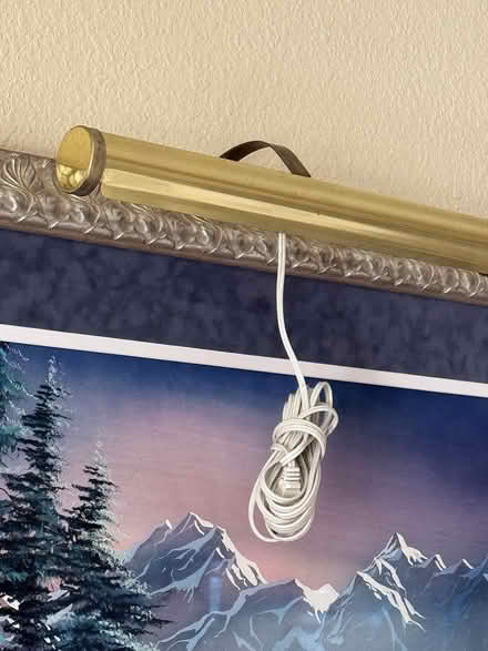 Photo of free Over Painting/Artwork Light (Westminster) #2