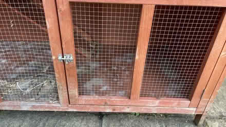 Photo of free Guinea pig/rabbit hutch (GU1 2Ud) #3