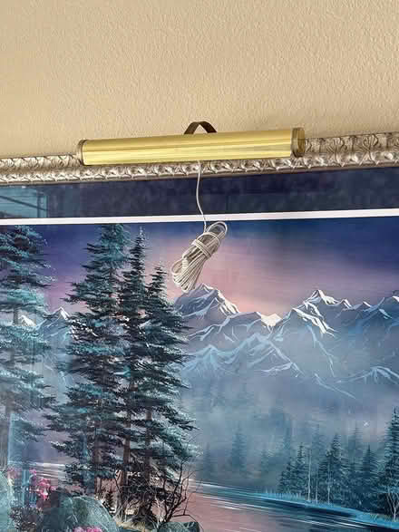 Photo of free Over Painting/Artwork Light (Westminster) #1