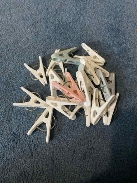 Photo of free plastic pegs (Winson Green B18) #1