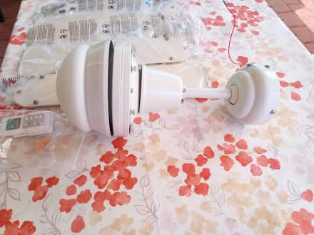 Photo of free Ceiling Fan (Riverton WA) #2