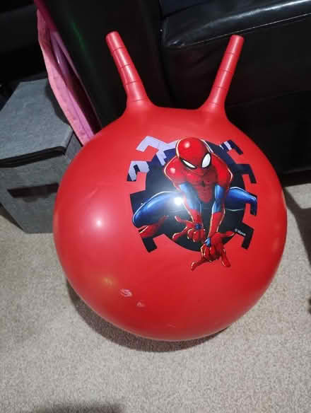 Photo of free Spider man hopper (High Heaton) #1