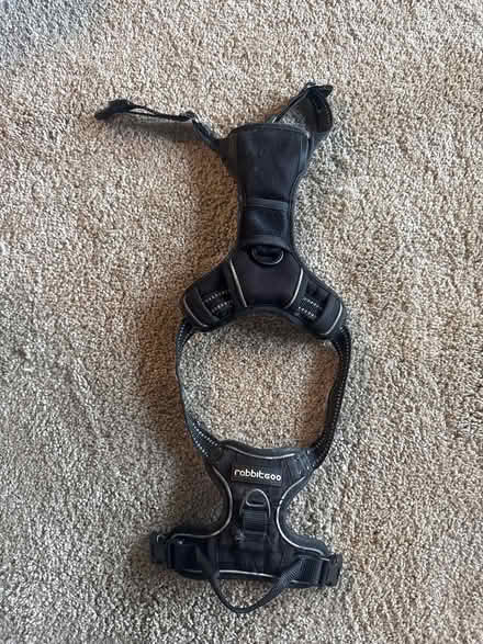 Photo of free Dog Harness (Rabbitgoo) (Hackney Wick E3) #2