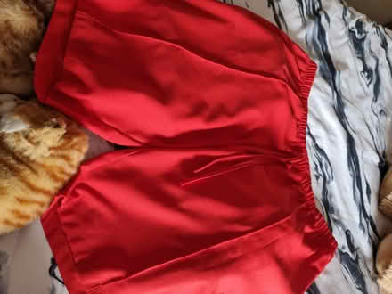 Photo of free Skorts (CT11) #2