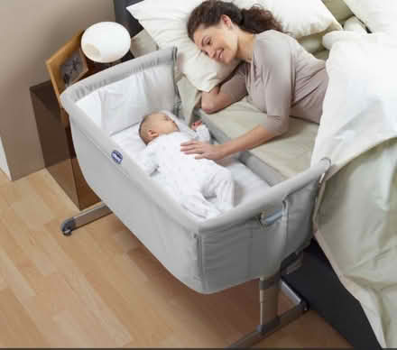 Photo of free Chica next to me cot (Saffron Walden) #1