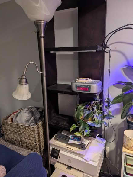 Photo of free tall wooden shelf (Petworth) #1