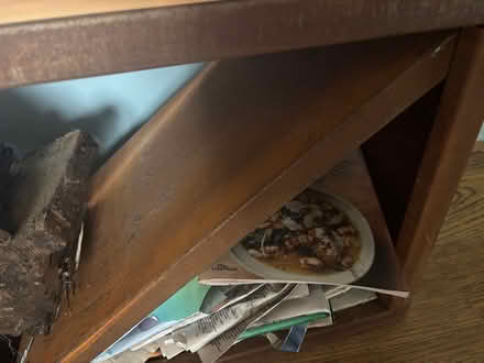 Photo of free Log and kindling storage (Horsham RH13) #3