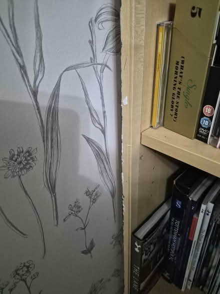 Photo of free Book case (MK15 downhead park) #2