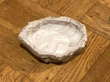 Photo of free Water dish for terrarium (Petworth/ Park View) #1