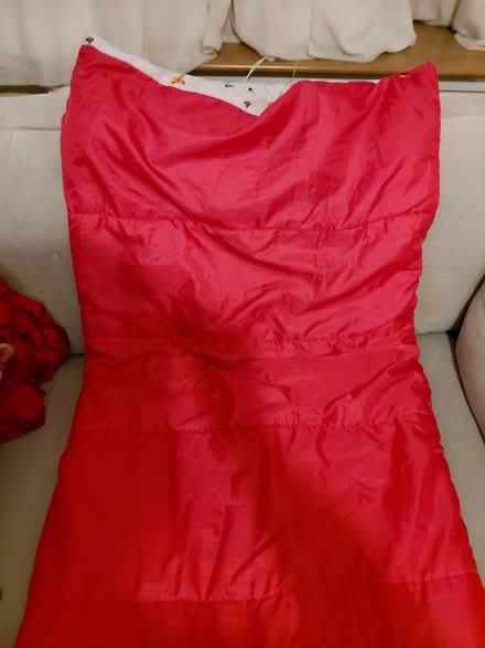 Photo of free Girls pink sleeping bag age 6-10? (Studley B80) #1