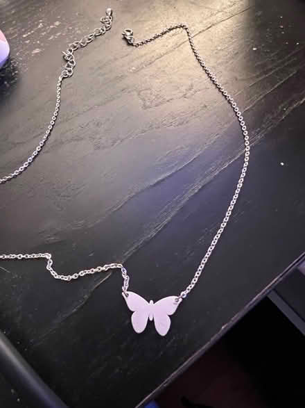 Photo of free butterfly necklace (worcester) #1