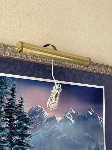 Photo of free Over Painting/Artwork Light (Westminster) #3