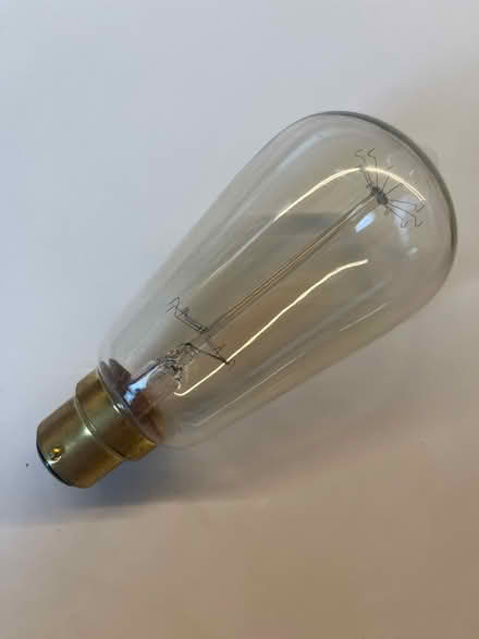 Photo of free Squirrel Cage Light Bulb (Crouch End N8) #1