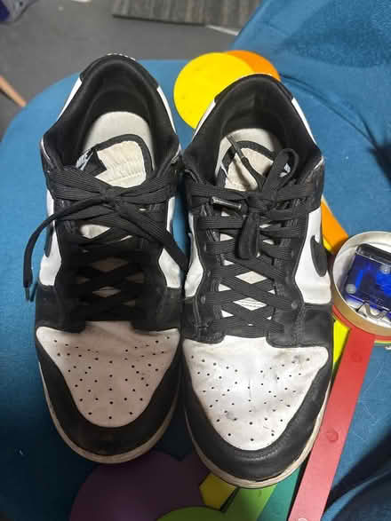 Photo of free Panda dunks (BN2) #1