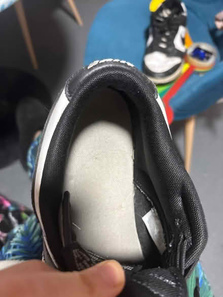 Photo of free Panda dunks (BN2) #2