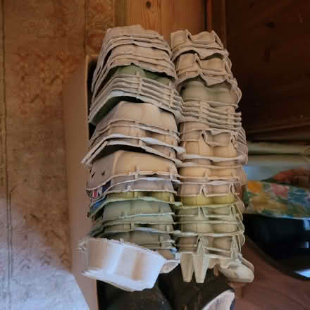 Photo of free Egg boxes (Horsley GL6) #1