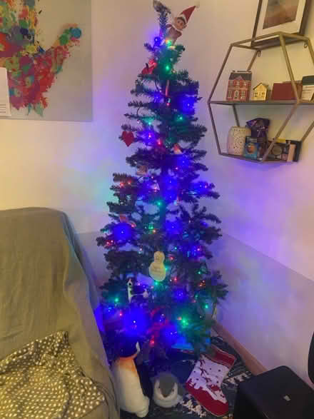 Photo of free Xmas Tree (Perdiswell WR3) #1