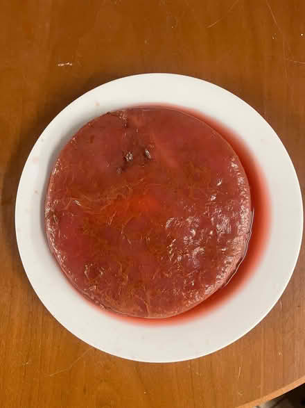Photo of free Kombucha Scoby (Broxtowe NG8) #1