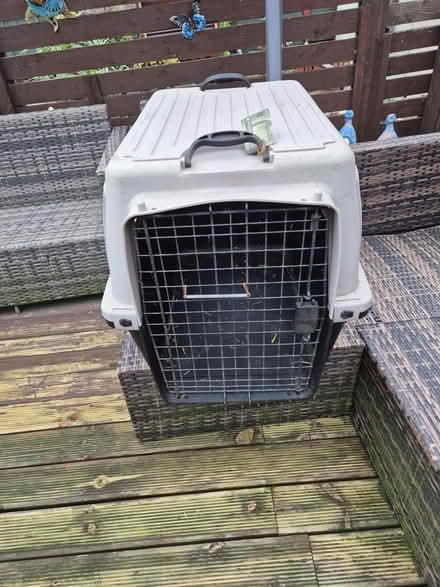 Photo of free large travel dog crate (HD6 brighouse) #1