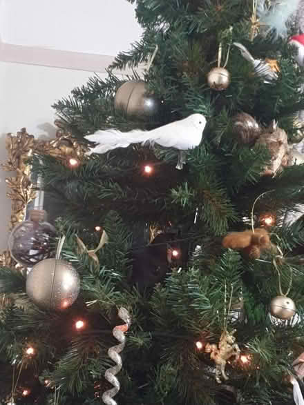 Photo of free Slimline 8 ft xmas tree (Margate CT9) #2