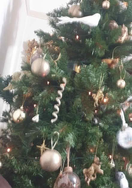 Photo of free Slimline 8 ft xmas tree (Margate CT9) #1