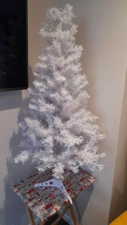 Photo of free Christmas tree (Marshalswick St.Albans) #3