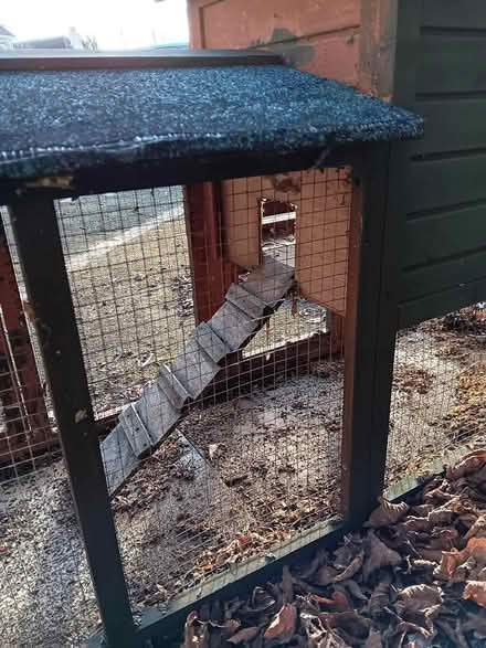 Photo of free Rabbit hutch (Chipping Ongar CM5) #2