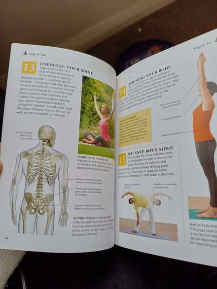 Photo of free 101 Essential Tips Yoga Book (Orgreave S13) #3