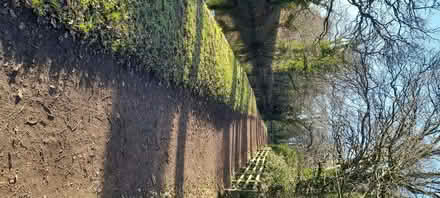 Photo of project mountain bikes (Wollaston DY8) #1