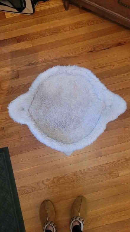 Photo of free Small cat tree & toys (Stratton school) #2