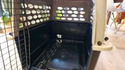 Photo of free Dog / cat basket (large) (Larkhall, Bath) #3