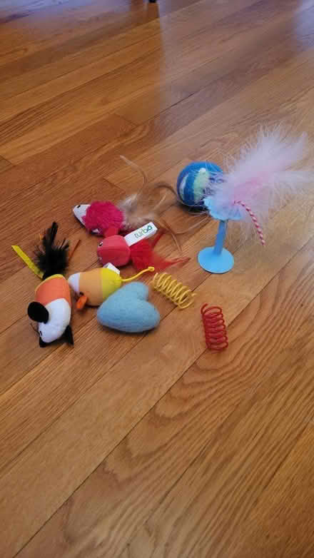 Photo of free Small cat tree & toys (Stratton school) #3