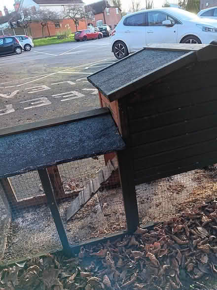 Photo of free Rabbit hutch (Chipping Ongar CM5) #4