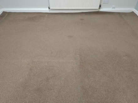Photo of free Large thin carpet (Walton, Stone ST15) #2