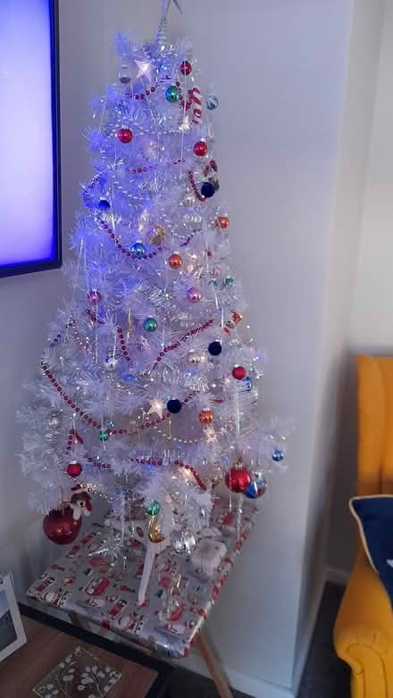 Photo of free Christmas tree (Marshalswick St.Albans) #4