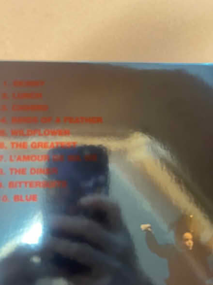 Photo of free Billie Eilish Album (Santiago Villa) #2