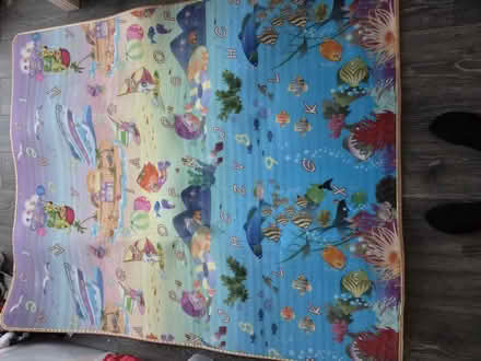 Photo of free Double sided floor mat (CR7) #1